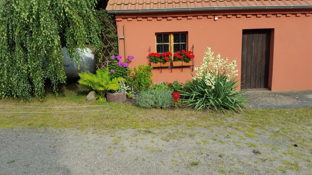 Storchennest Appartement Grosswudicke Buitenkant foto